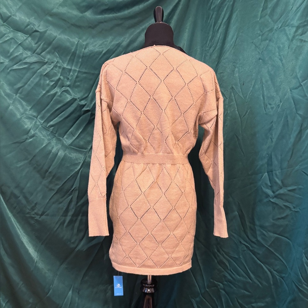 Lace-Trimmed Sweater Dress NWT - Picture 2 of 8